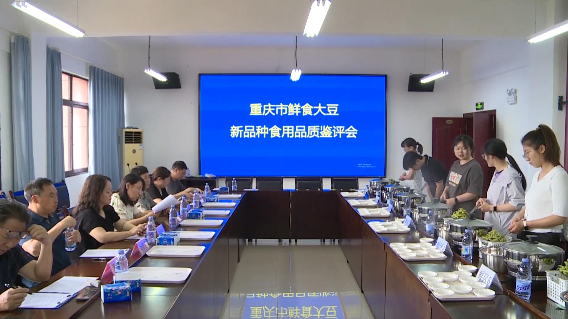 重庆市鲜食大豆新品种食用品质鉴评会在万州举行_20240704165323.JPG